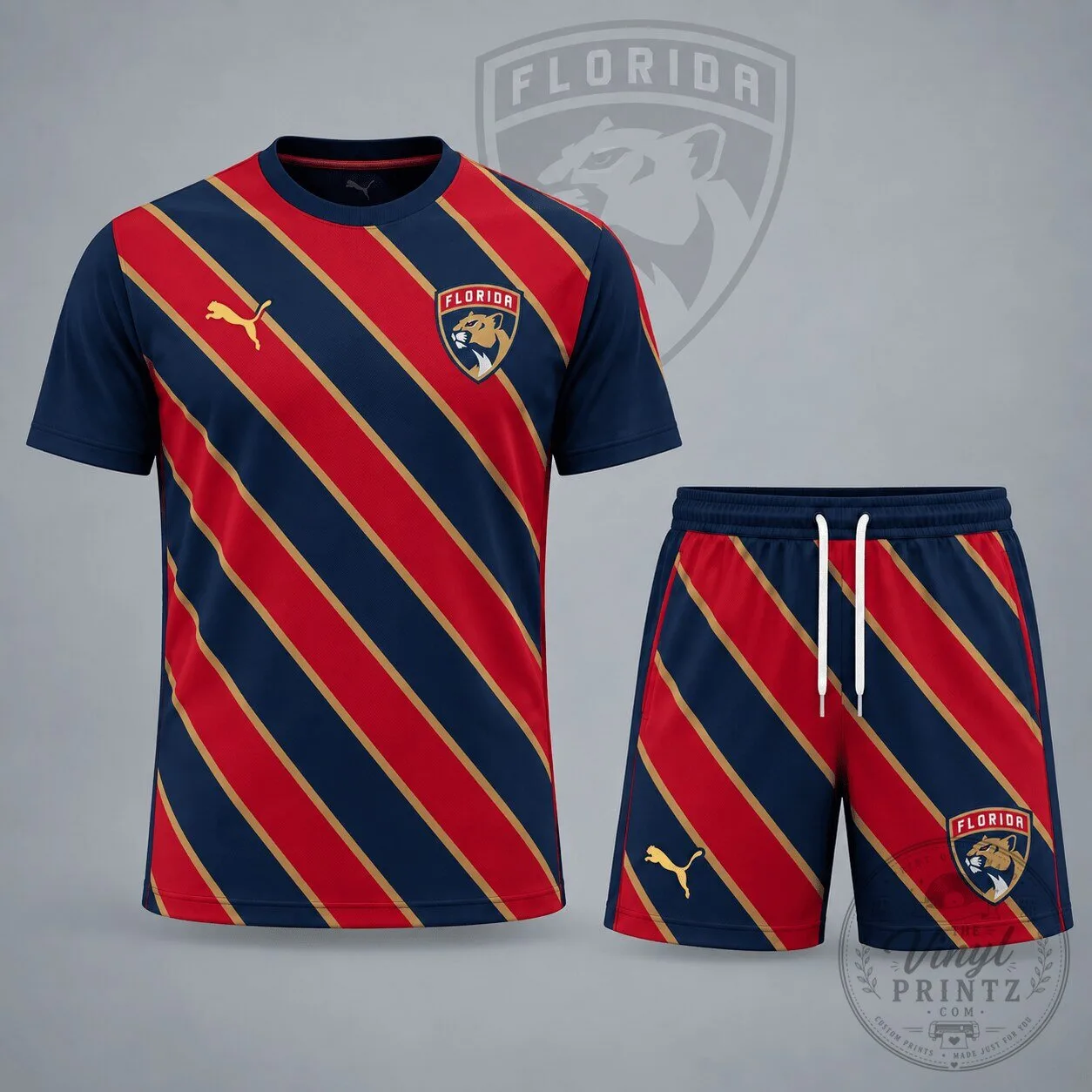 Florida Panthers National Hockey League Diagonal Velocity Stripe T-Shirt and Shorts Set